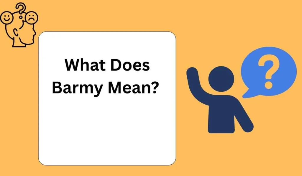What Does Barmy Mean?
