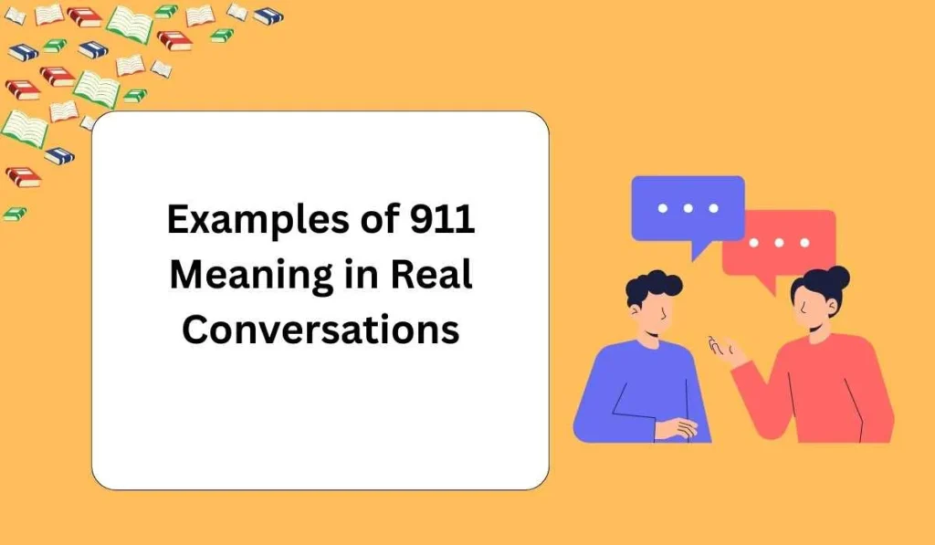 Examples of 911 Meaning in Real Conversations