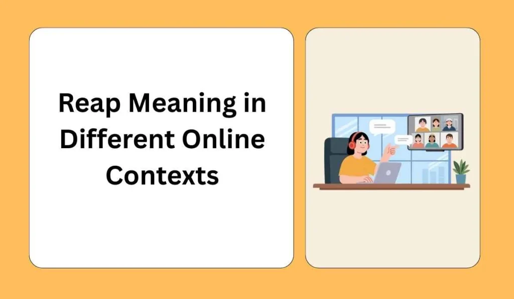 Reap Meaning in Different Online Contexts