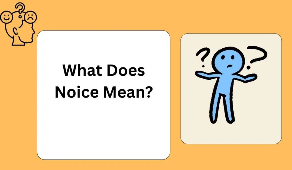 What Does Noice Mean?