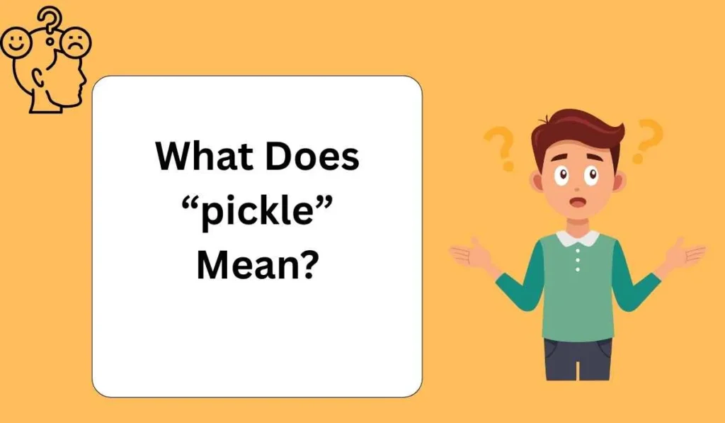 What Does “pickle” Mean?