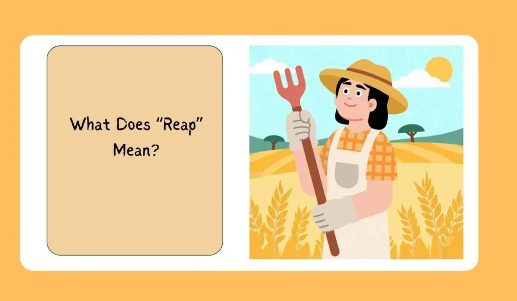 What Does “Reap” Mean?