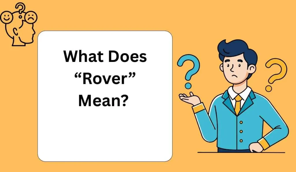 What Does “Rover” Mean? 