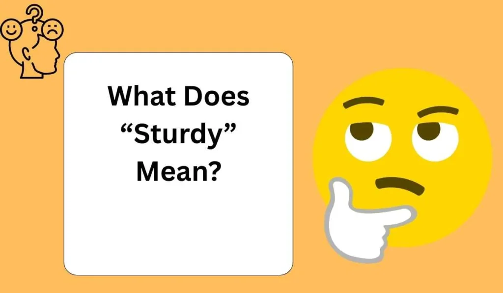 What Does “Sturdy” Mean?