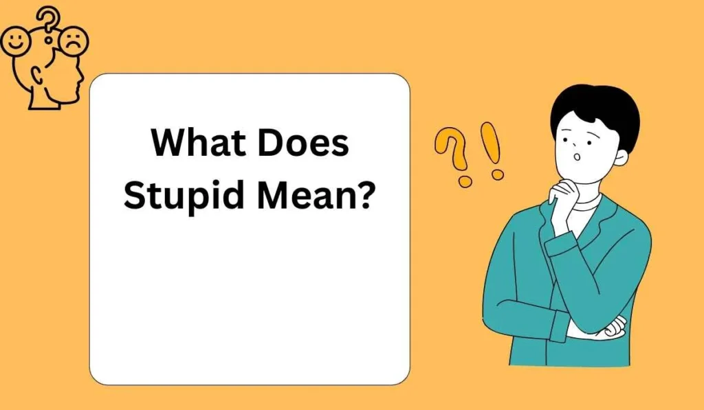 What Does Stupid Mean?