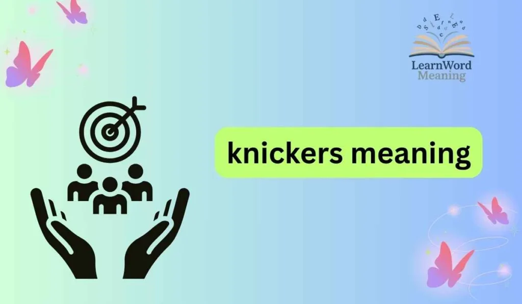 knickers meaning