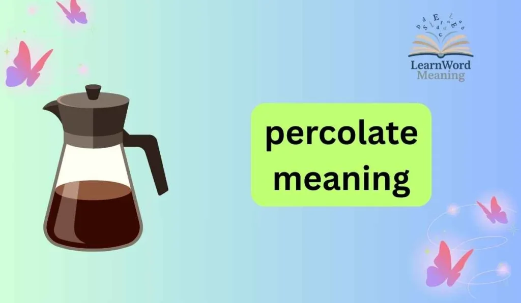 percolate meaning