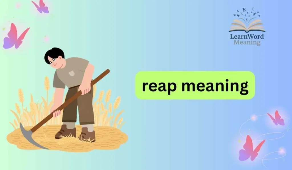 reap meaning