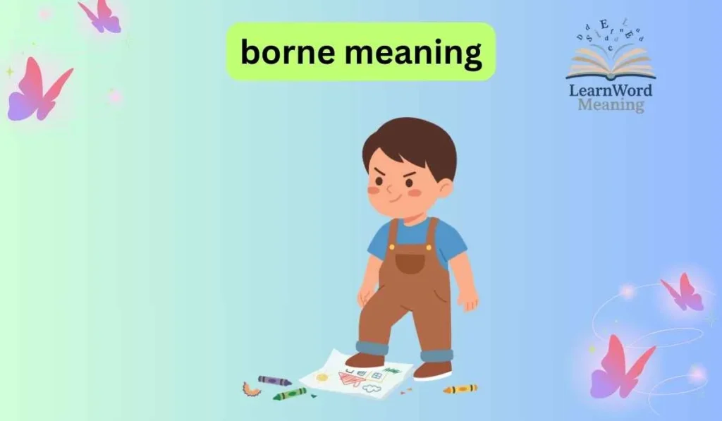 borne meaning
