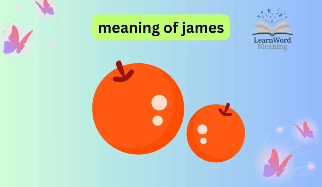 meaning of james