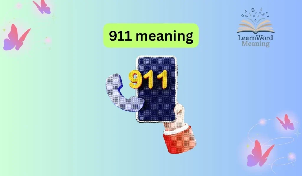911 meaning