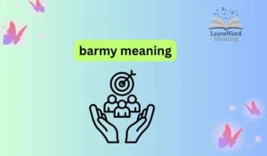barmy meaning