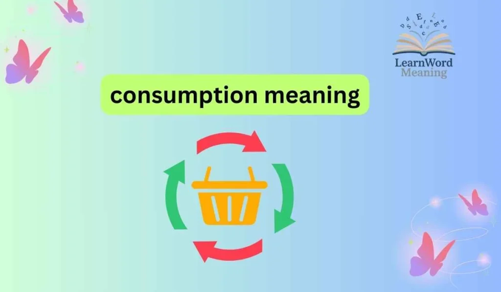consumption meaning