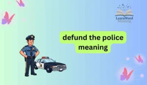 defund the police meaning