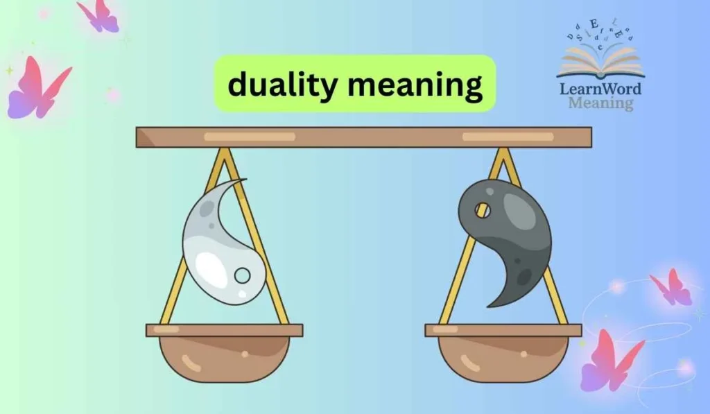 duality meaning