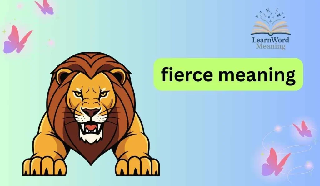 fierce meaning