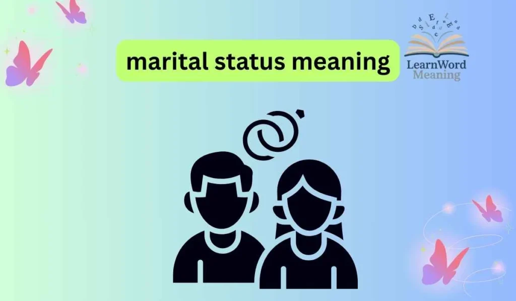 marital status meaning