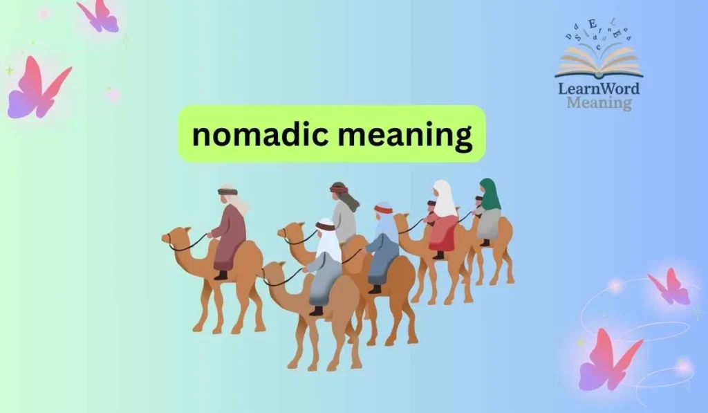 nomadic meaning