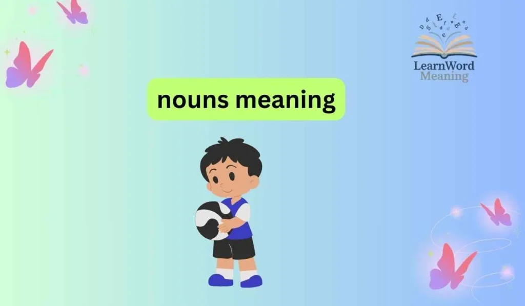 nouns meaning