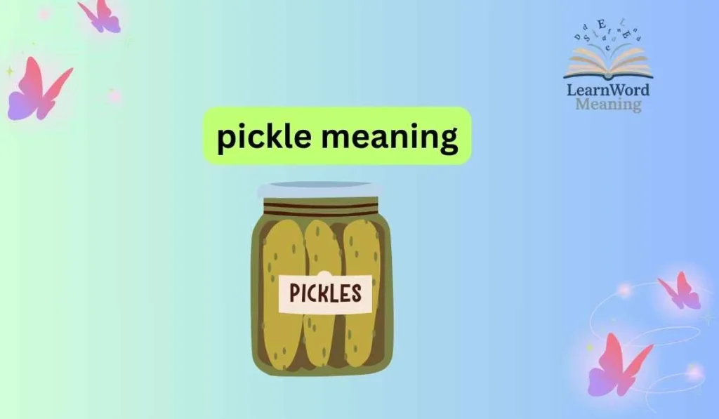 pickle meaning