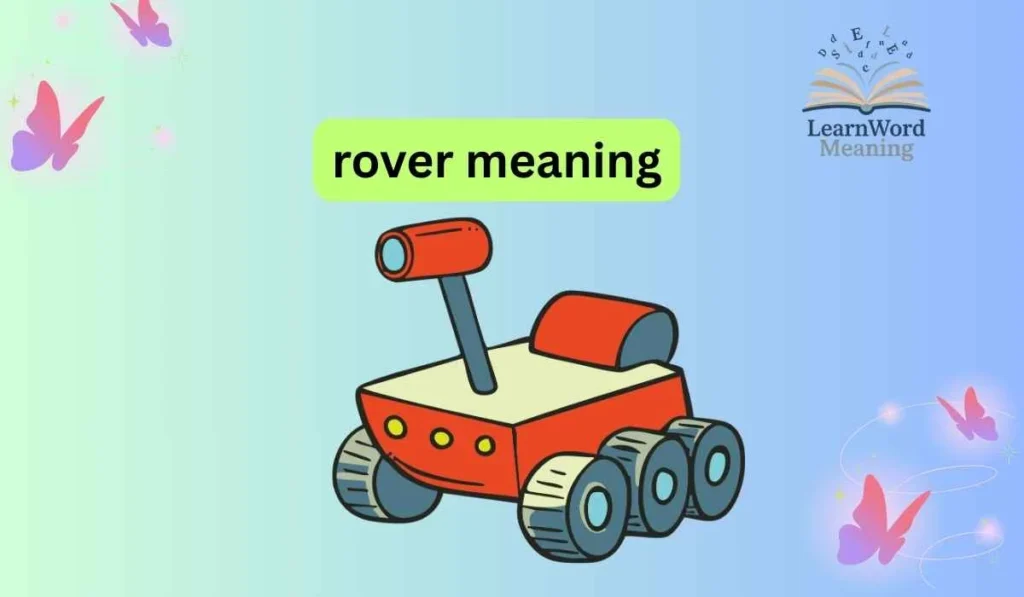 rover meaning