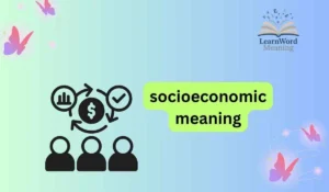 socioeconomic meaning
