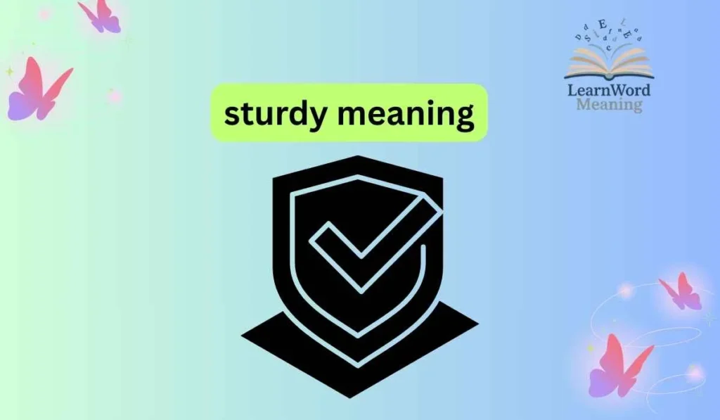 sturdy meaning