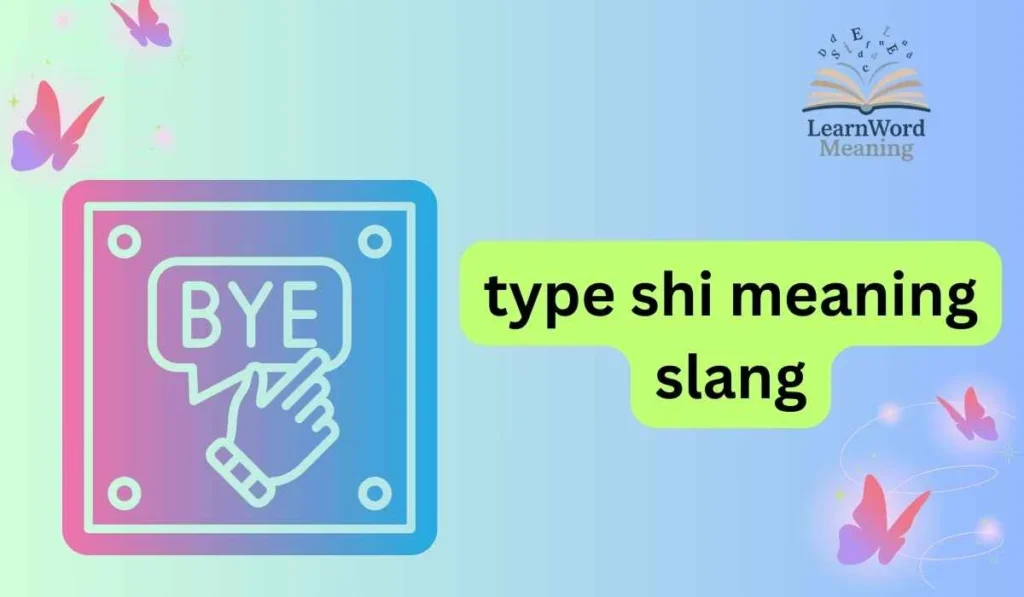 type shi meaning slang
