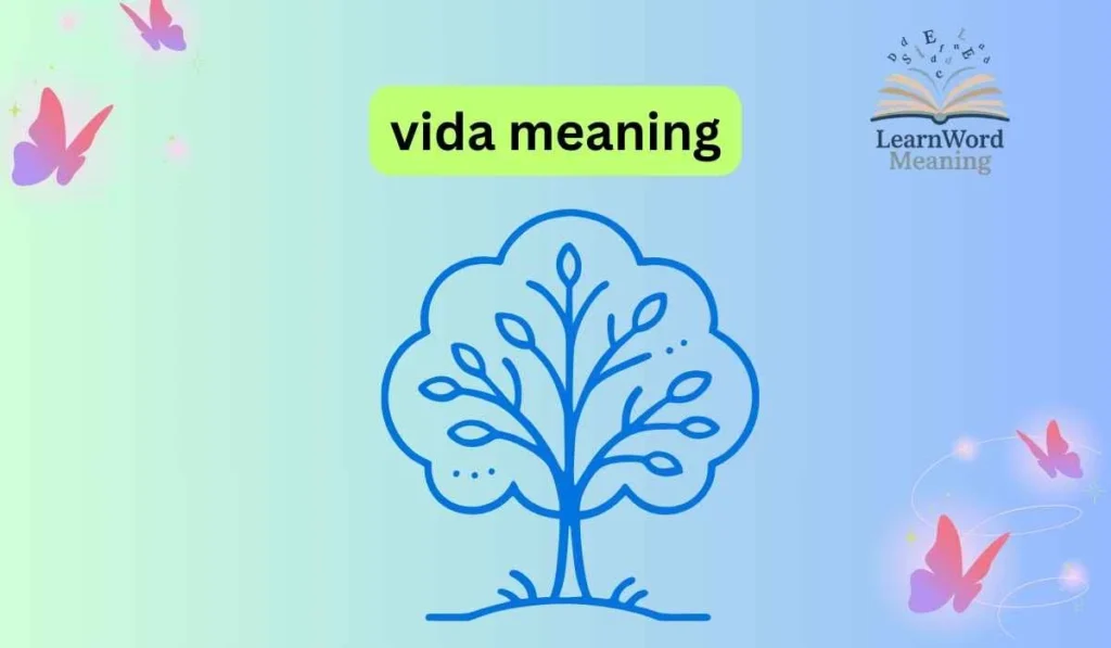 vida meaning