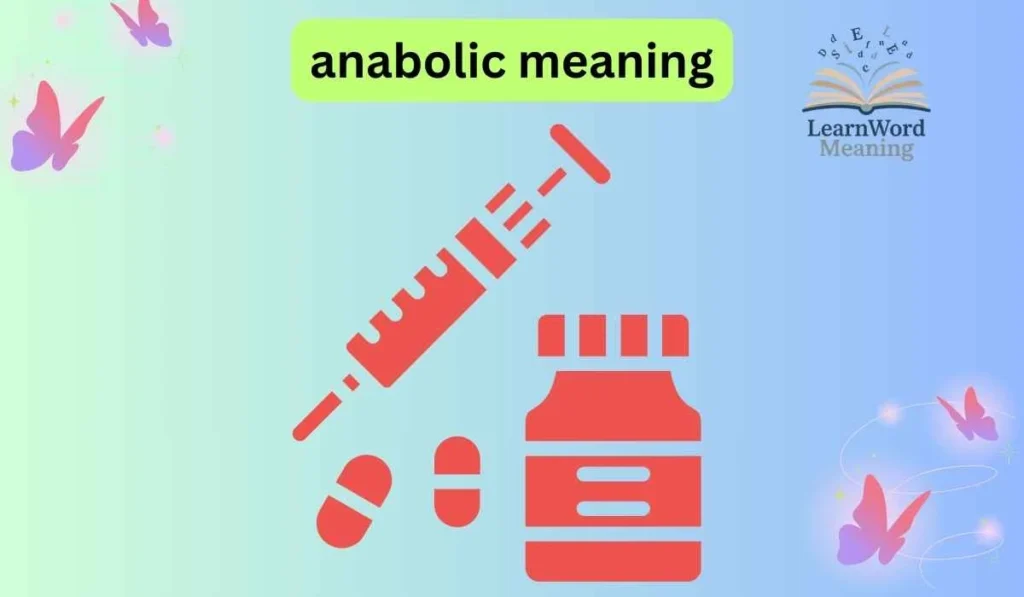 anabolic meaning