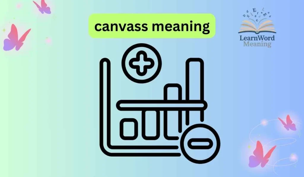 canvass meaning