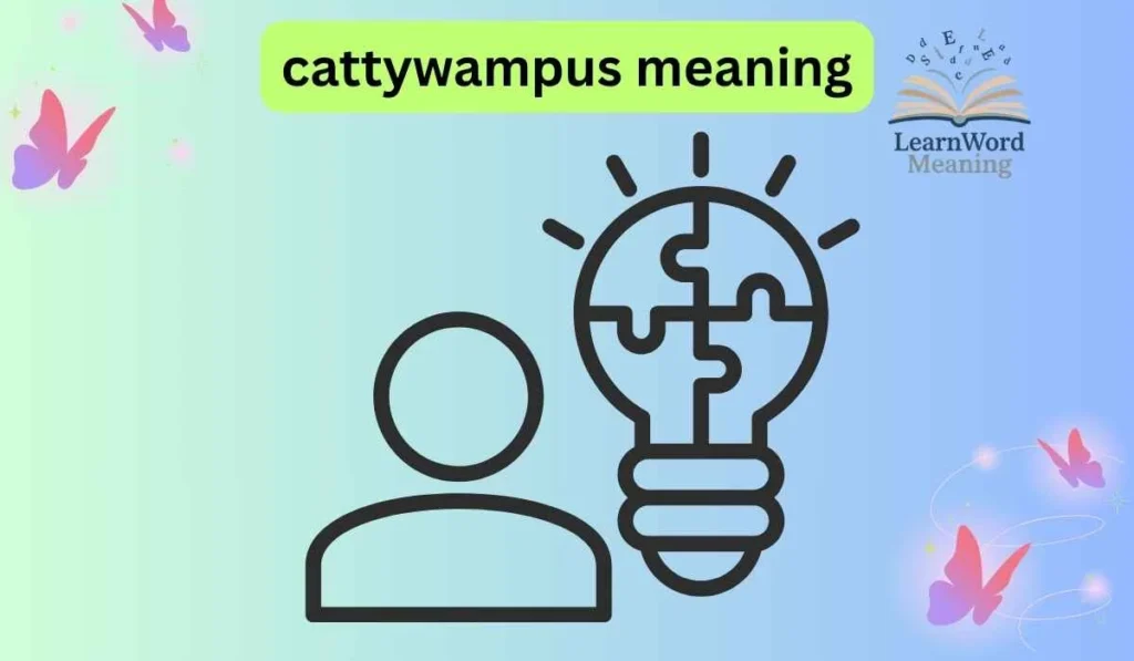 cattywampus meaning