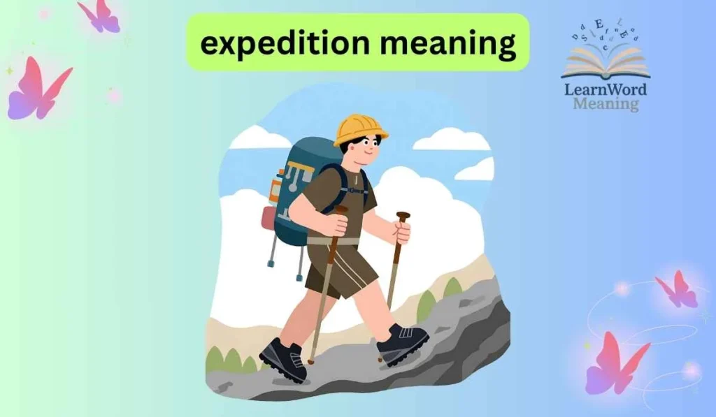 expedition meaning