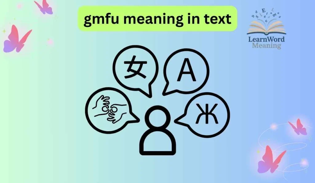 gmfu meaning in text