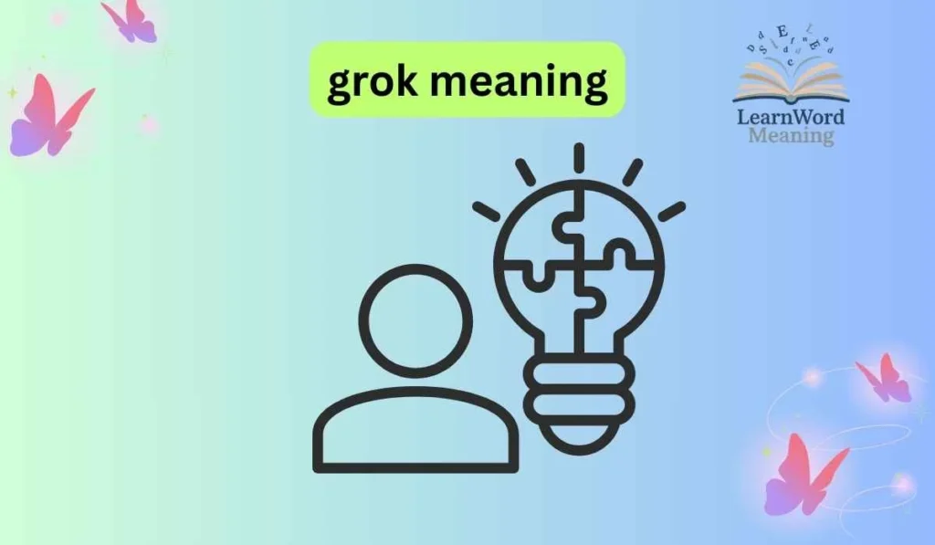 grok meaning