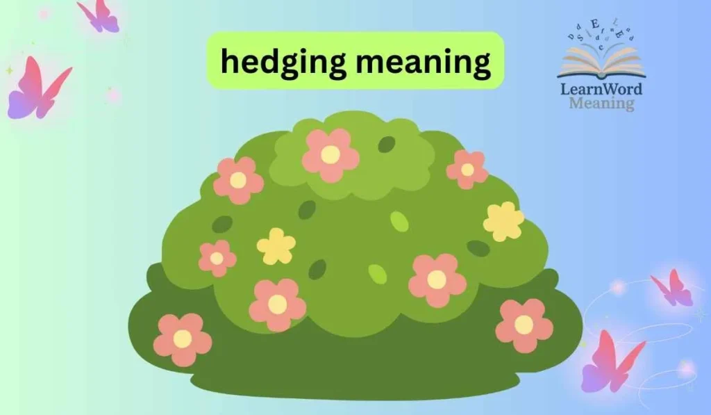 hedging meaning