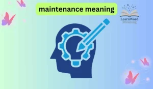 maintenance meaning