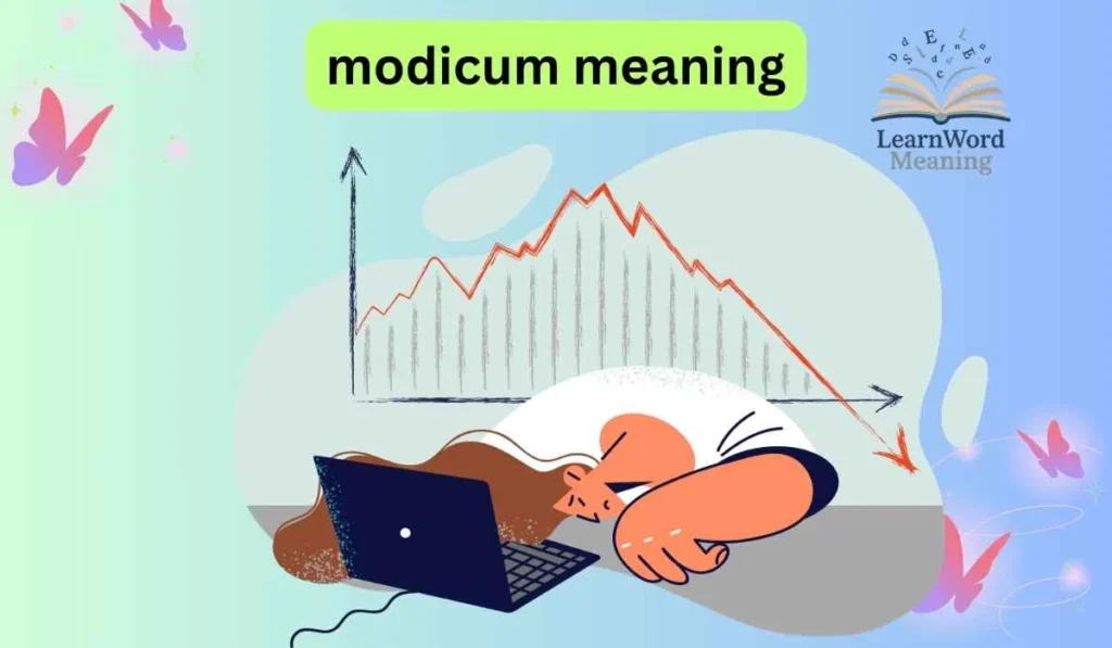 modicum meaning