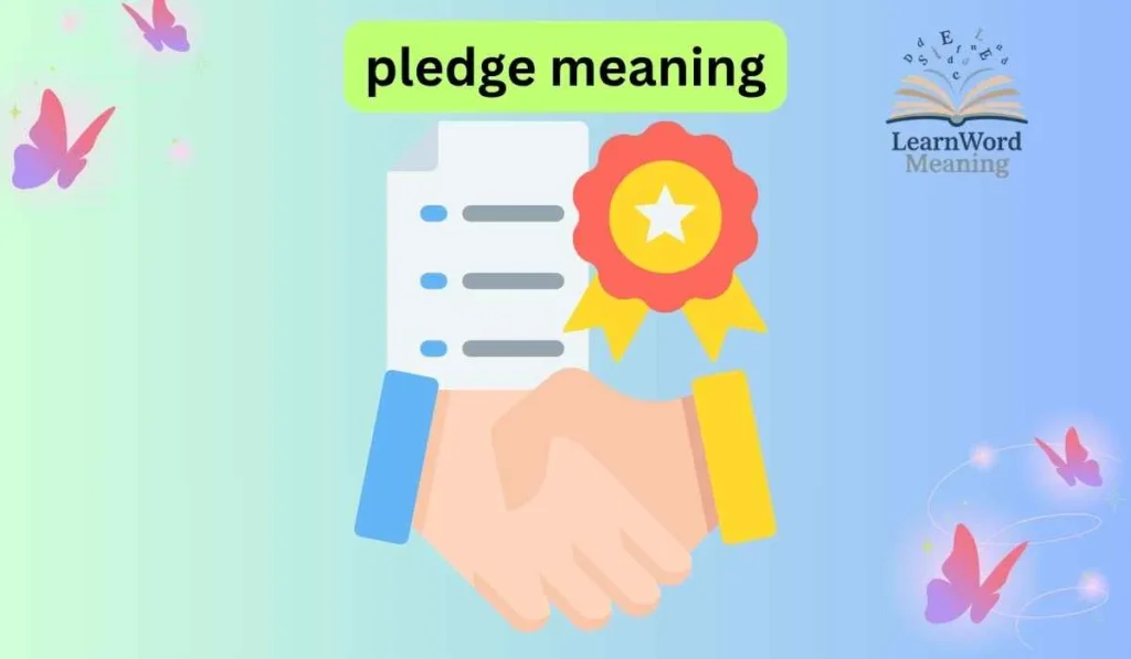 pledge meaning