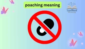 poaching meaning