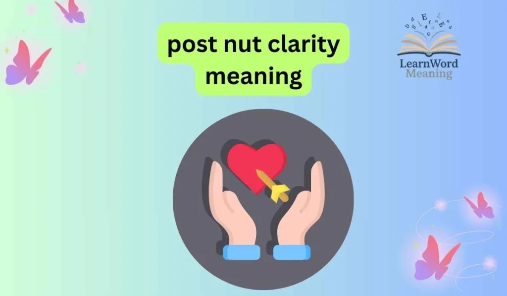post nut clarity meaning