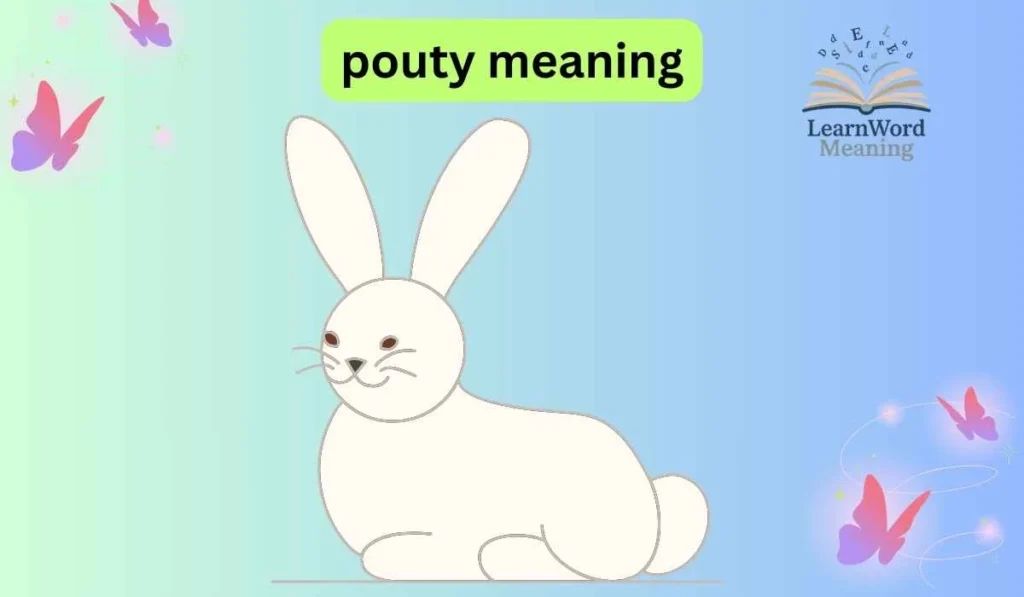 pouty meaning