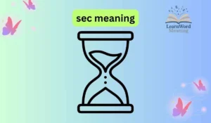 sec meaning
