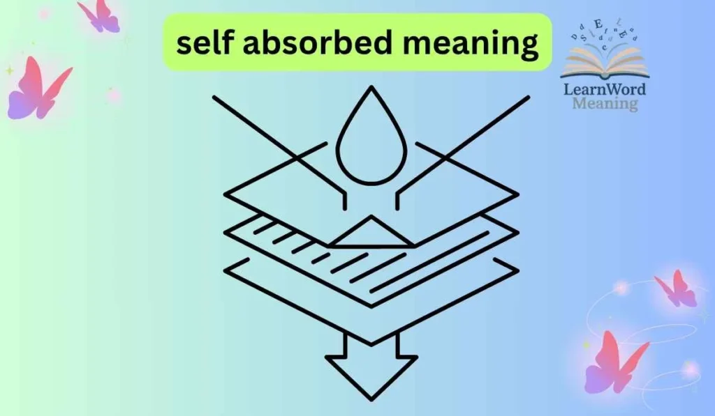 self absorbed meaning