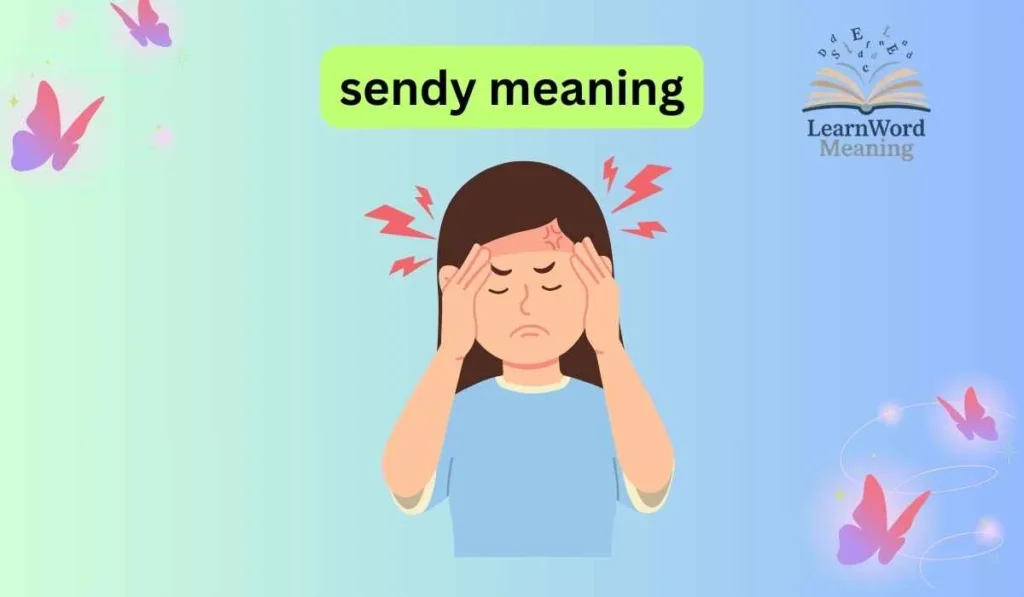 sendy meaning