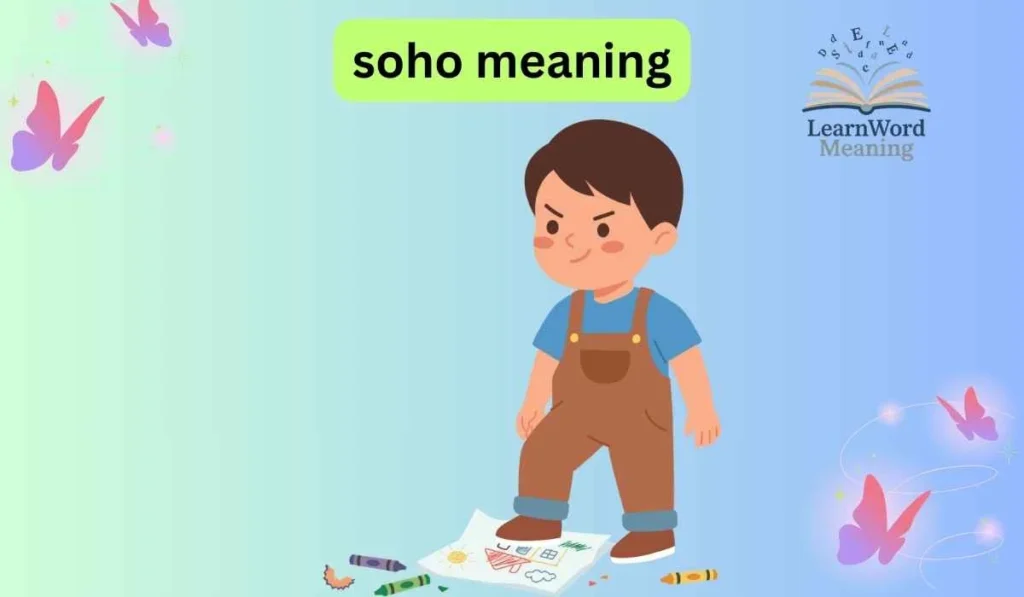 soho meaning